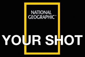 NationalGeographic Yourshot