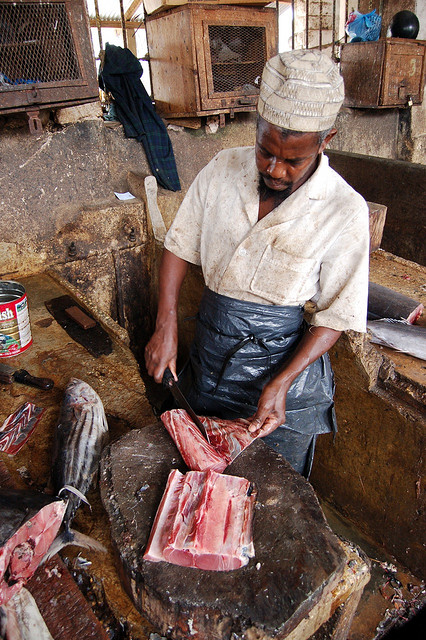 Fish in Zanzibar