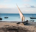 Dhows in Zanzibar