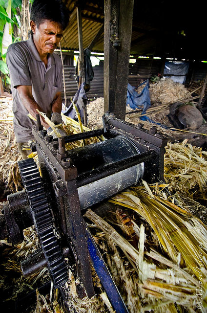 18154943738_c225412d56_z