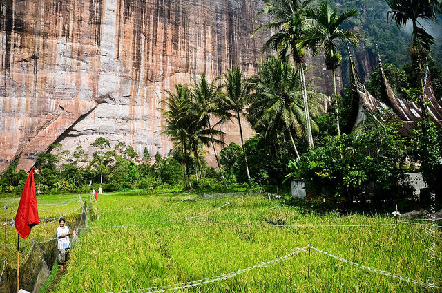 18544416549_4b46d7c0e9_z