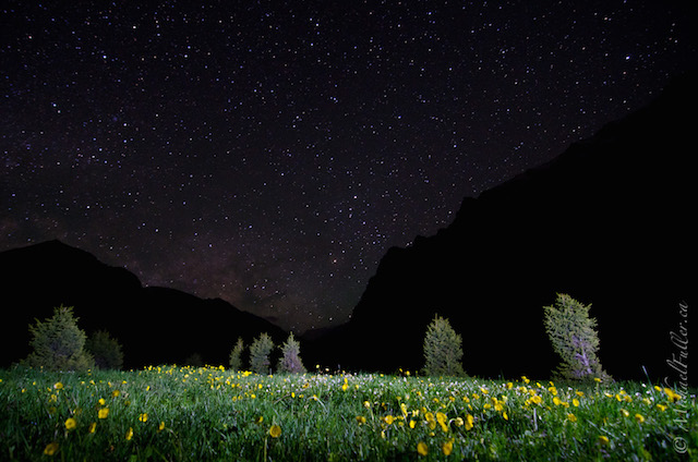 night starscape in Kyrgyzstan mountains